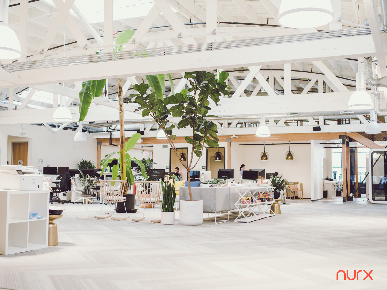 Sunlit open-plan office with plants and white trusses